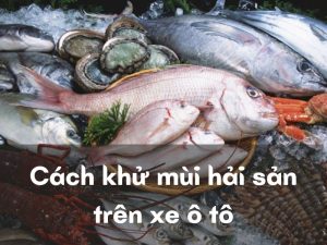 Cách khử mùi hải sản trên xe ô tô