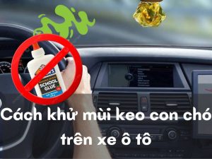 cách khử mùi keo con chó trên xe ô tô