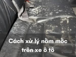 xử lý nấm mốc trên ô tô