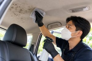 Cách xử lý trần nỉ ô tô bị mốc an toàn, ít ẩm